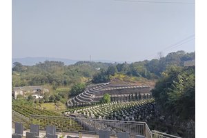 探索陵园，宁静与和谐的永恒栖息地